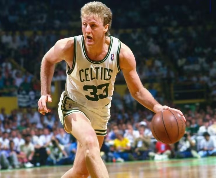 布朗尼则在 布朗尼则在