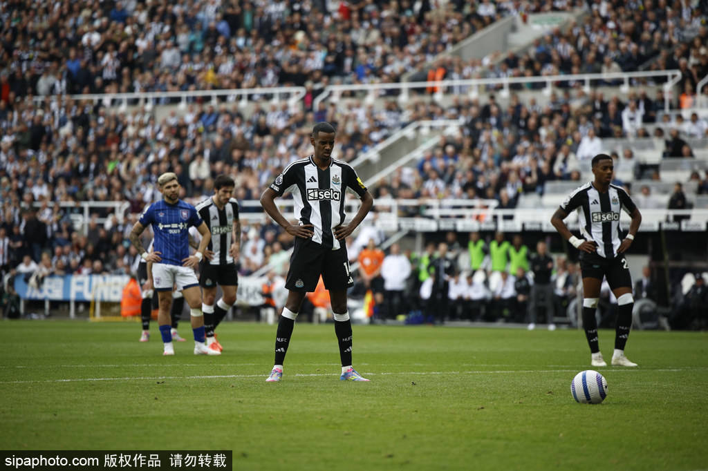 他们在联赛 他们在联赛