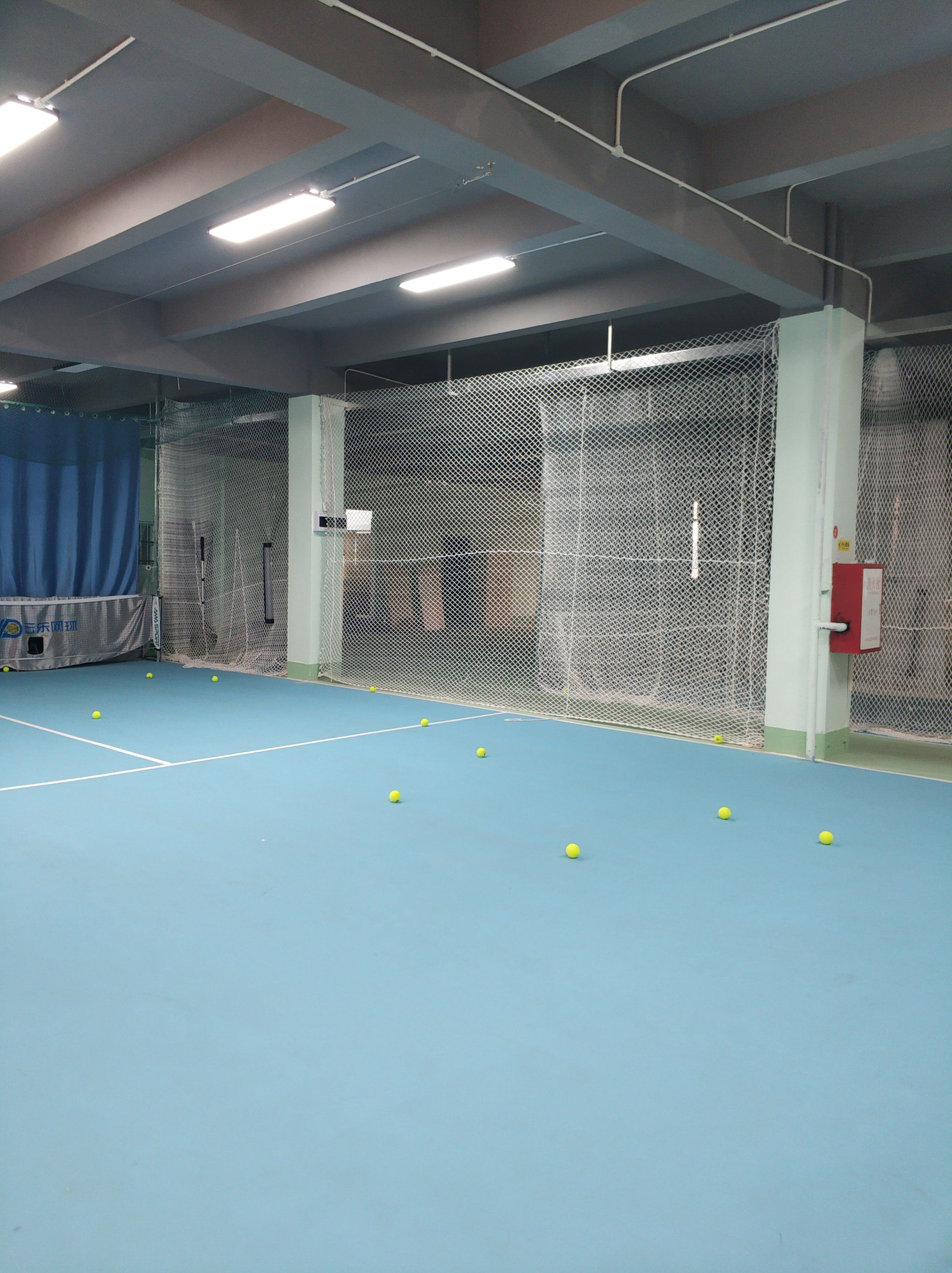 逐渐崭露头 逐渐崭露头